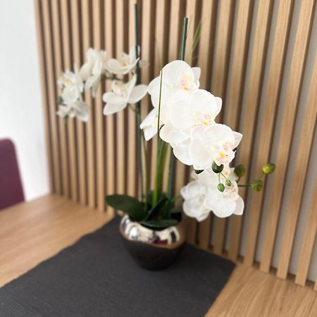 קוטור Kovacevic Apartments מראה חיצוני תמונה