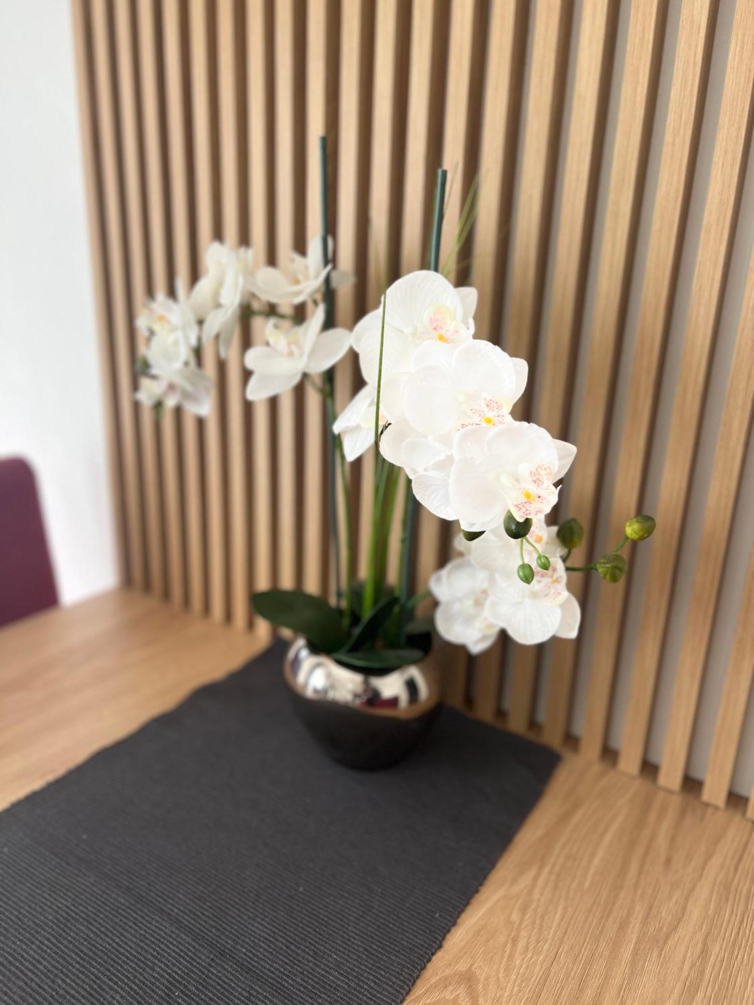 קוטור Kovacevic Apartments מראה חיצוני תמונה