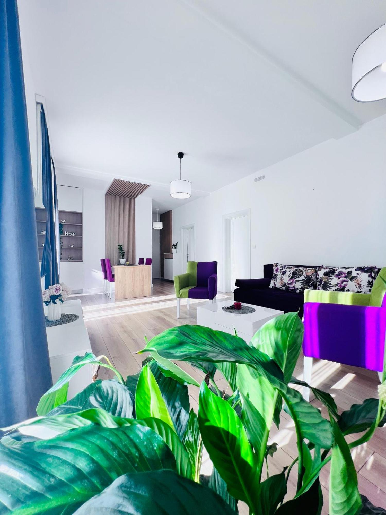 קוטור Kovacevic Apartments מראה חיצוני תמונה